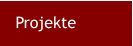 Projekte