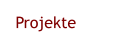 Projekte